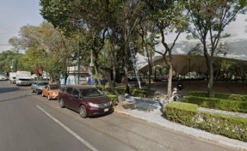 Clases de muay thai y kickboxing: Real Combat Martial Arts