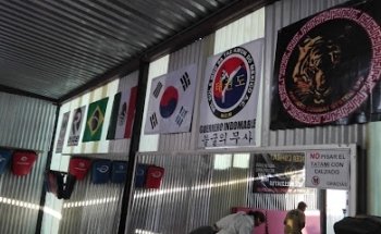 Club De Artes Marciales Mixtas Tiger Combat