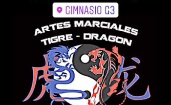 Artes Marciales Tigre Dragón Batallon de San Patricio