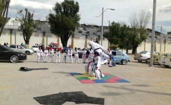 CAT TEAM TIGERS CEJUSA TAE KWON DO