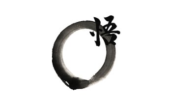 Aikido Satori México