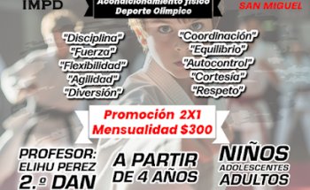 Taekwondo Chalco - OLLIN