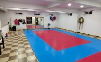 Cobras Taekwondo Edo Mex