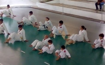 Shotokan Dojo Arias