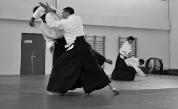 Asociación de Aikido de Nuevo León (Dojo Sn. Nicolas)