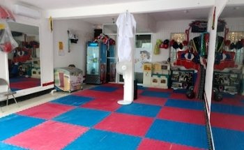 Instituto Mexicano de Taekwondo Multideportivo