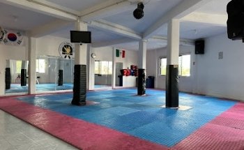Escuela de Taekwondo Evolution Martial Arts Cofradias Izcalli