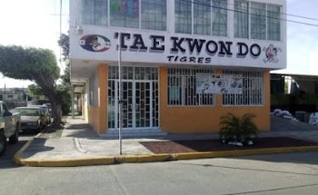 Tae kwon do tigres utam poza rica