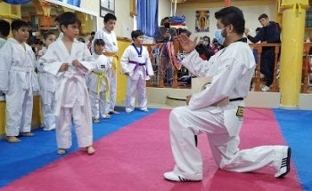 Cecatt taekwondo