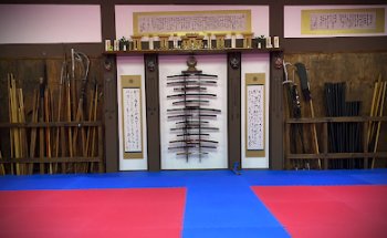 Bujinkan Mexico Yakumo Shin Ryu Dojo