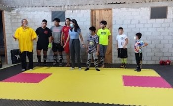 Artes marciales Alejandro Huerta Etla