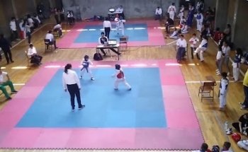 Taekwondo KMEC Metropolitano