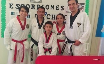 Taekwondo Felinos Chalco
