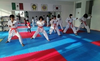 Daniri Jiu-Jitsu yTae Kwon Do Mdk Zerezotla, Cholula, Pue.