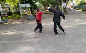ACADEMIA NACIONAL DE ESTUDIOS DE KUNG FU TRADICIONAL