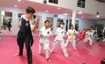Taekwondo Ixtacala Jeongsin