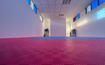 Karate Dojo San Bartolo