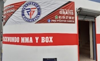 Pro Fighter García