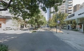 Tai Chi Chi Kung and Long Feng Headquarters Mexico Polanco