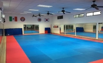 Hapkido San Pedro