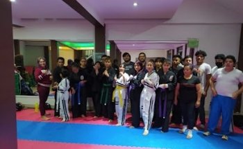WHITE TIGERS LIMA LAMA (Escuela de Artes Marciales)