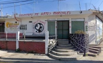 Instituto De Artes Marciales