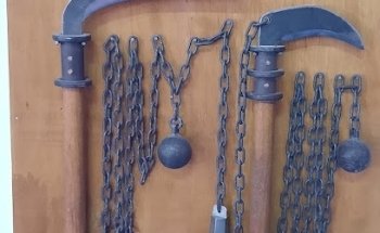 Bujinkan Yakumo Dai Tora Dojo