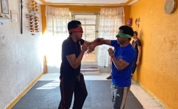 Wing Chun RDS (Defensa personal inteligente)