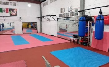 Artes Marciales Gladiador