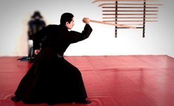 Japanese Martial Arts Center - CAMJ