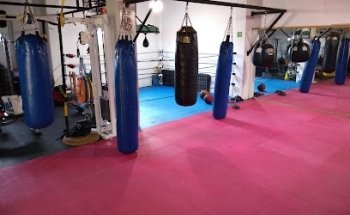 MUAYTHAI ECAM TOLUCA