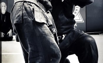 Bujinkan Seishin Gyō Dōjō