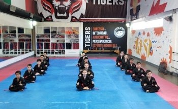 TIGERS TAE KWON DO