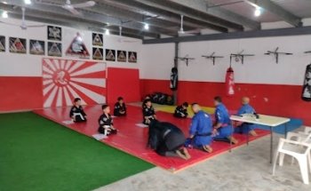 AIAM Mérida, Academia Internacional de Artes Marciales