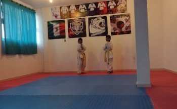 INSTITUTO SUPREMO DE TAEKWONDO LEOPARDOS
