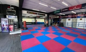 Schumanns Bonebreakers Puebla