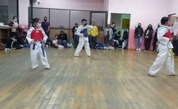 Escuela de taekwondo flores