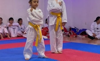 Taekwondo Guerreros DAEHAN