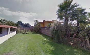 Xperia Kyneto - Baile Social, Baile Internacional y Bojutsu de Exhibición