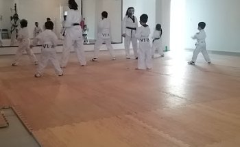 VITA TAEKWONDO LOBOS