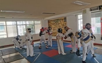 Federación Mexicana de Artes Marciales Japonesas Nippon Kempo