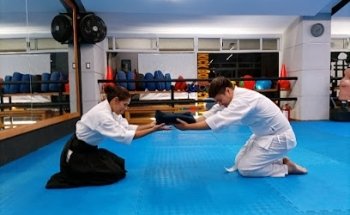 Aikido Satélite Bushin Dojo
