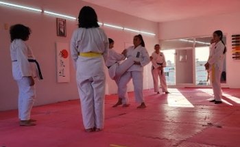 Aikido Mazatlán
