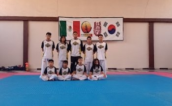 Taekwondo Club Panthers