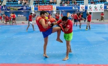 Lycans MMA - Central