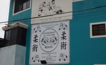 Lonngi Martial Arts Academy / Carlson Gracie BJJ Mexico