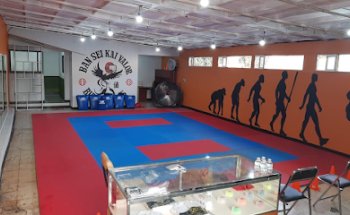 Bansei Kai Valor. Escuela de Karate, Tae Kwon Do y Robótica
