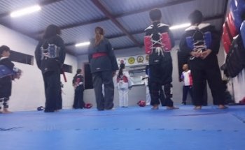 Academia de Artes Marciales Méndez