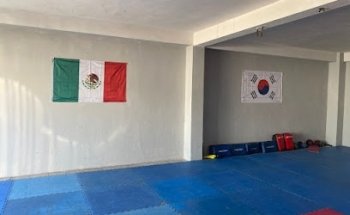 Muela Taekwondo