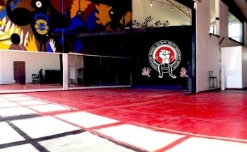 Pro Athletes Martial Arts